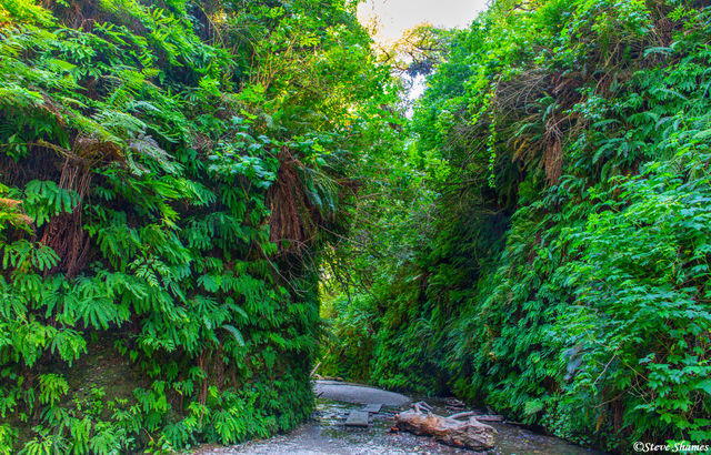 Prehistoric Canyon print