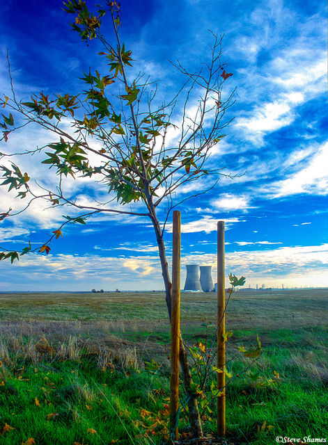 Rancho Seco Power Plant print