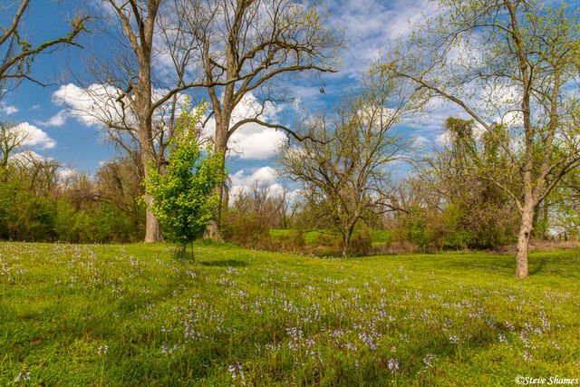 Red River National Wildlife Refuge print