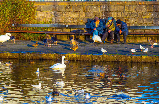 Reykjavic Men at Duckpond print