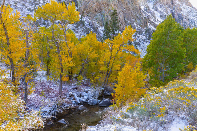 Rush Creek Fall Colors print