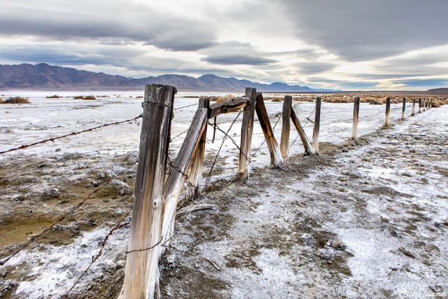 Salty Lake Winnemucca print