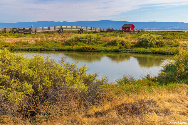 San Francisco Bay Tidelands Trail print