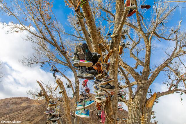 Shoe Tree Middlegate Nevada print