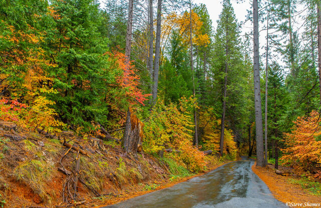 Sierra Foothills Fall Colors print