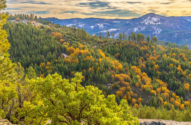 Sierra Hillside print