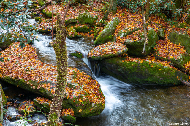 Smokey Mountains Stream print