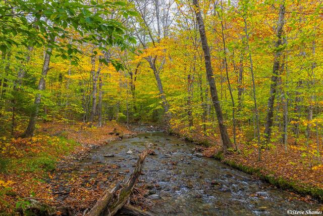 Smugglers Notch State Park print