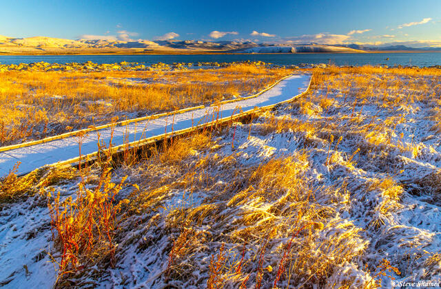 Snowy Boardwalk print