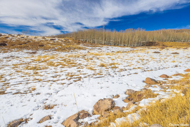 Snowy Utah Scene print