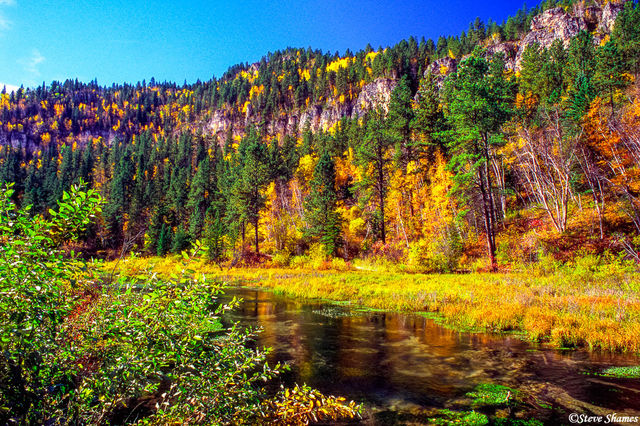 Spearfish Canyon print