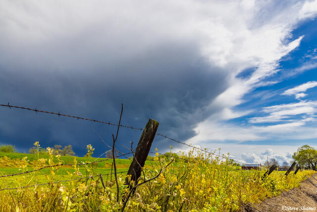 Springtime Dark Clouds print