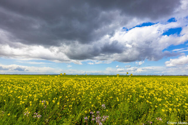 Storm Clouds Brewing print