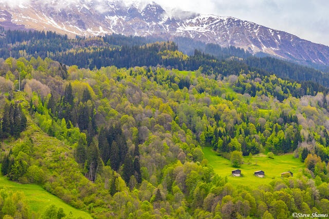 Swiss Alps Scene print