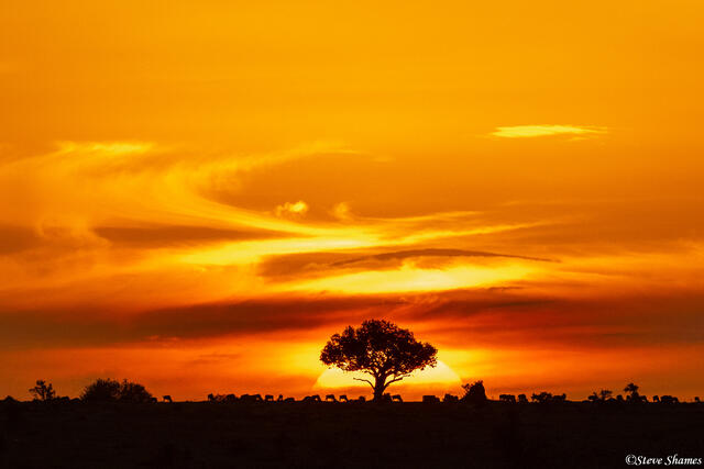 Tanzania-Serengeti Sunset print