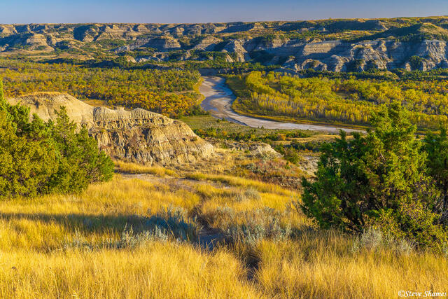 Teddy Roosevelt National Park print