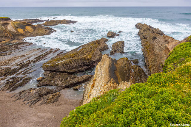 The Bluff Trail print