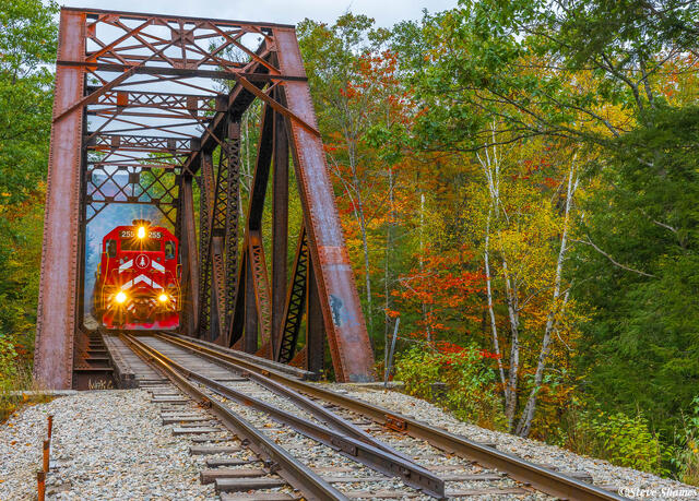 Train a Comin' print