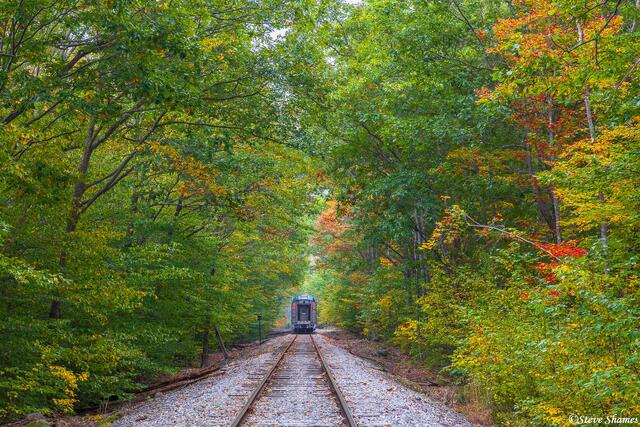 Train Leaving print