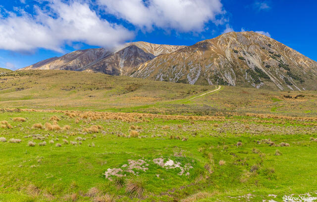Tranzalpine Train New Zealand print