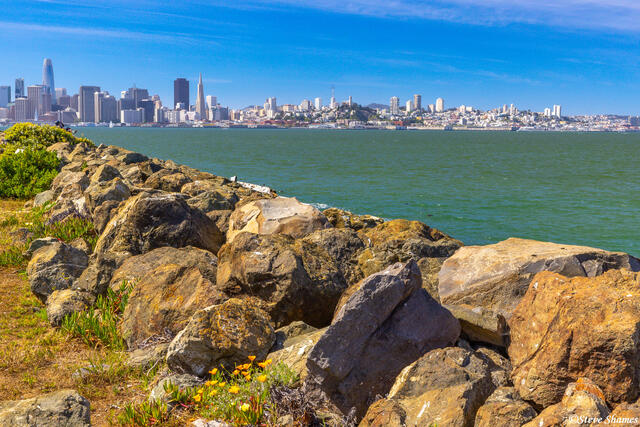 Treasure Island View print