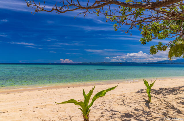 Turquoise Waters print