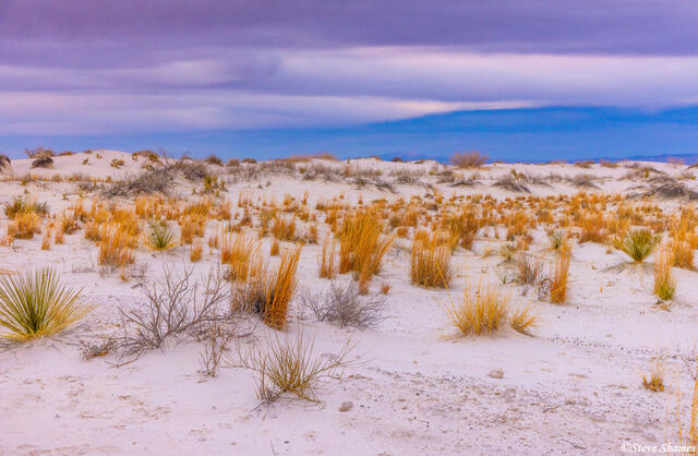 Twilight At White Sands print
