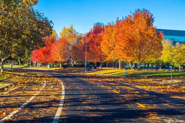 Urban Fall Colors print