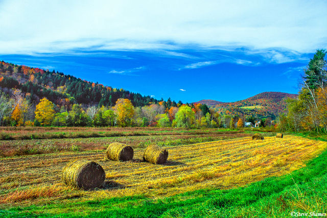 Vermont Farm Scene print