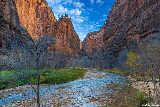 Virgin River Through Zion print