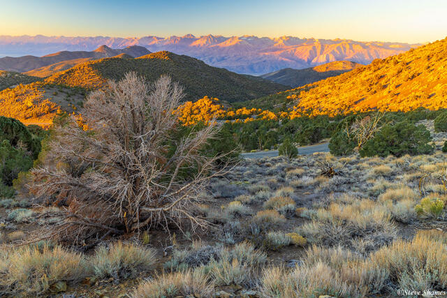 White Mountains Sunrise print