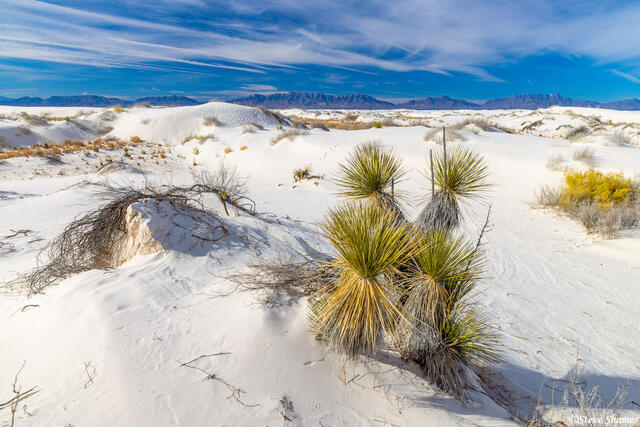 White Sands New Mexico print