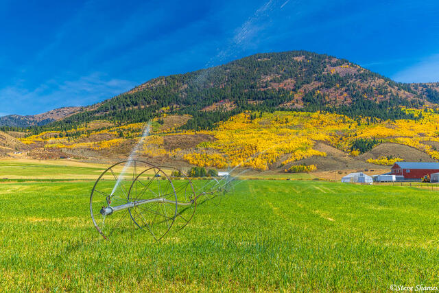 Wyoming Agriculture print