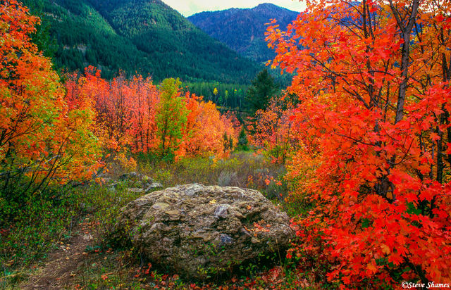 Wyoming Color print