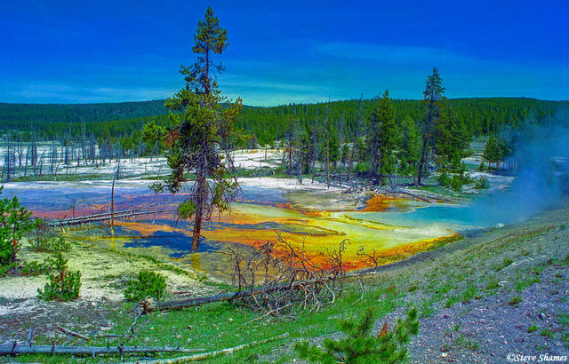 Yellowstone Color print