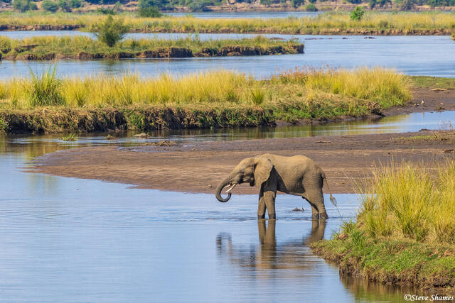 Zambia-Lower Zambezi Scene print