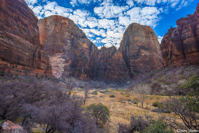 Zion print