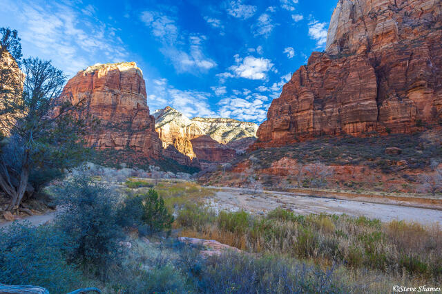 Zion National Park View print