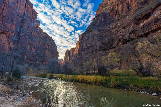 Zion Virgin River print