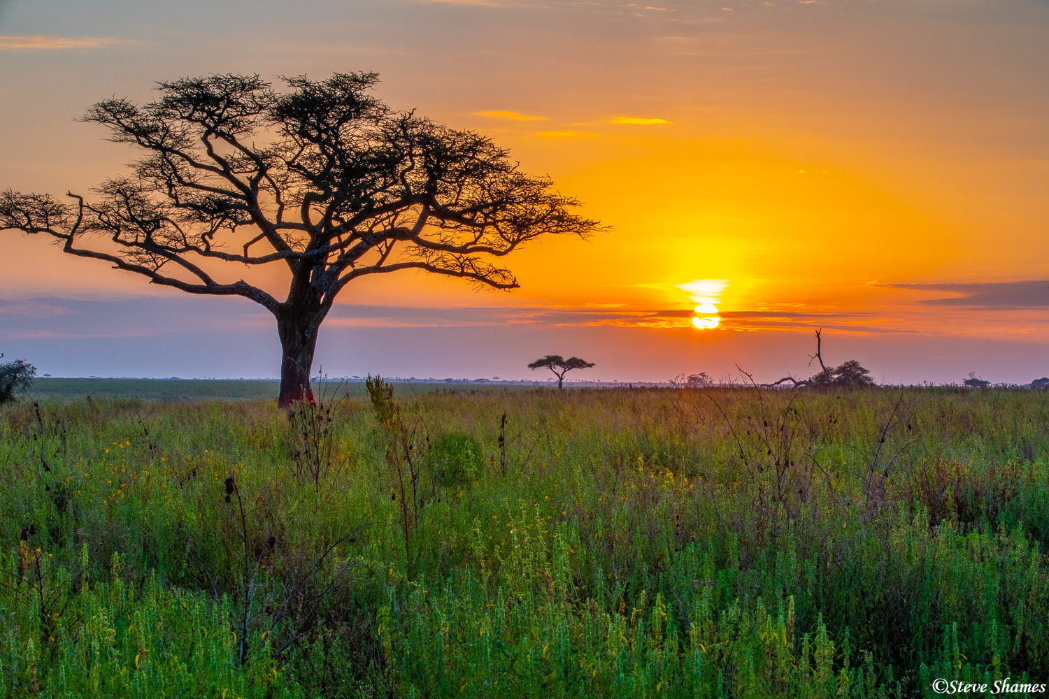 Sunsets in the Serengeti are always great.