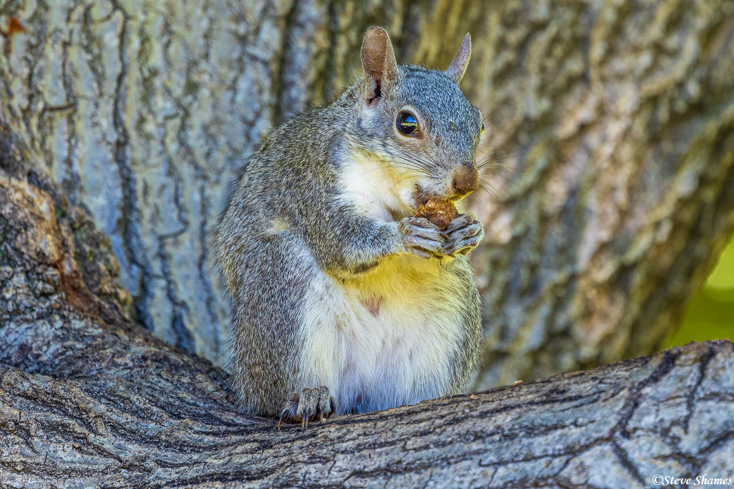 At the American River Parkway, in Sacramento County.