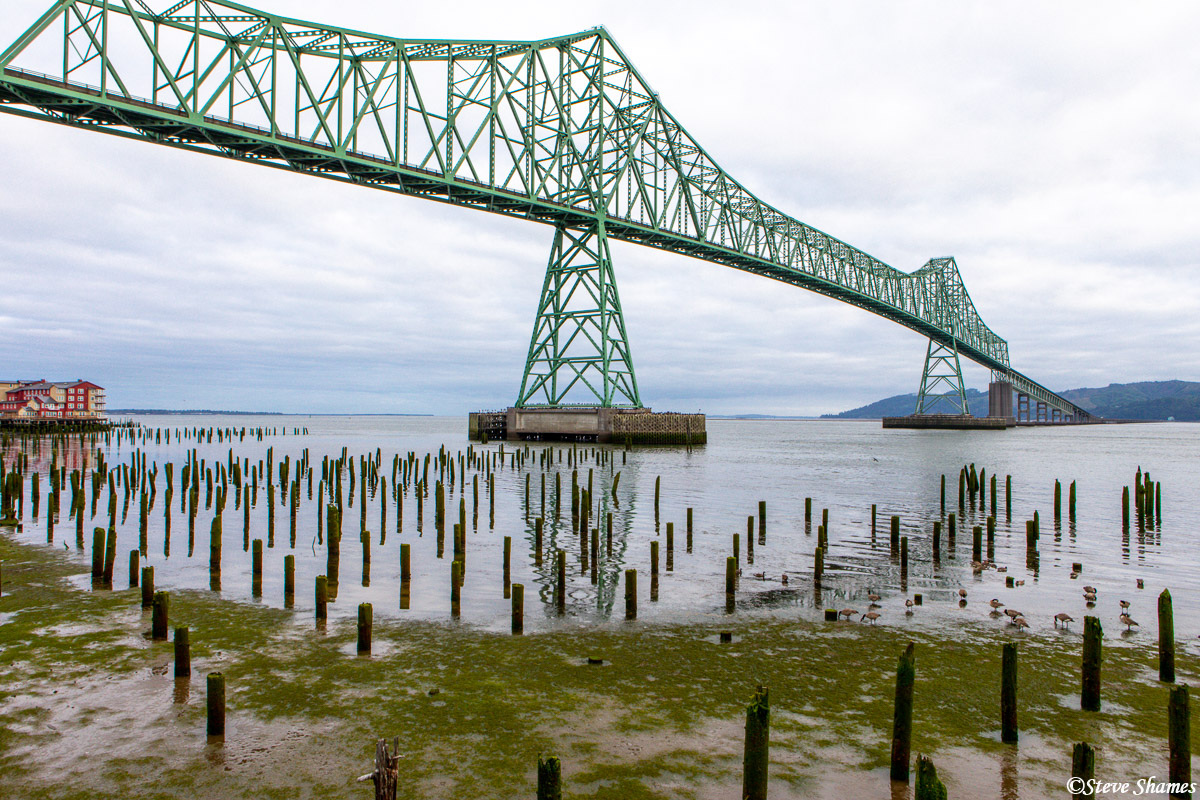 And here is the famous and scenic Astoria Bridge, spanning the Columbia River. This is the longest continuous truss bridge in...