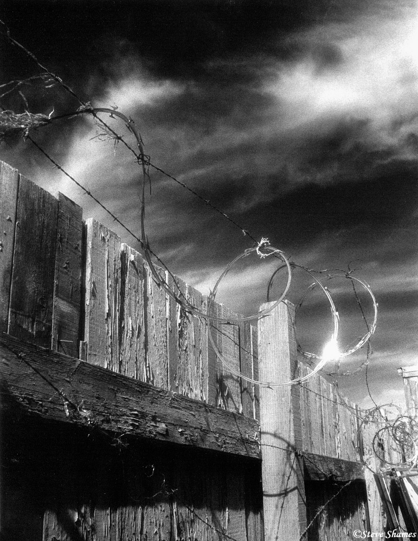 Barbed wire sparkling in the sun.