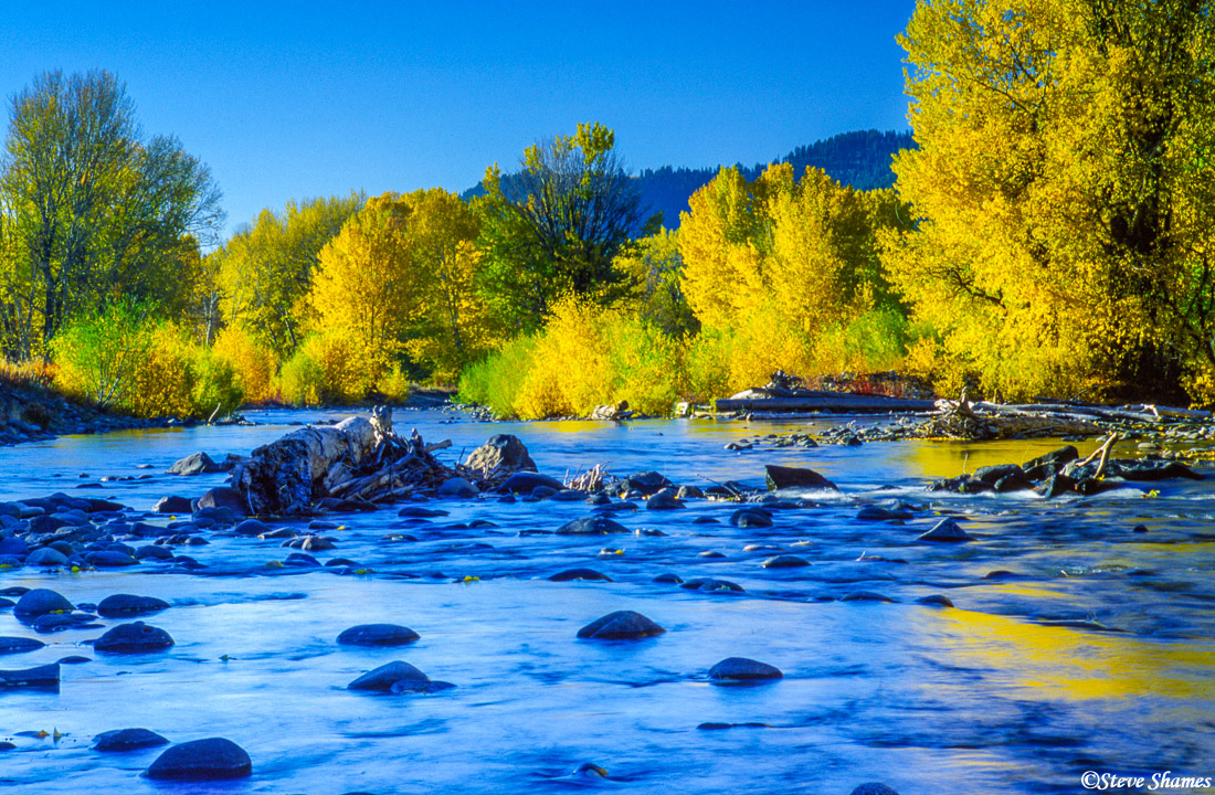Big Wood River | Ketchum, Idaho | Steve Shames Photo Gallery