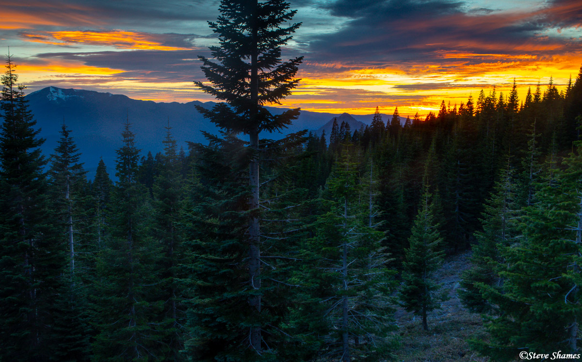 On Mt. Shasta. That pyramid shaped mountain in the center-right is Black Butte.