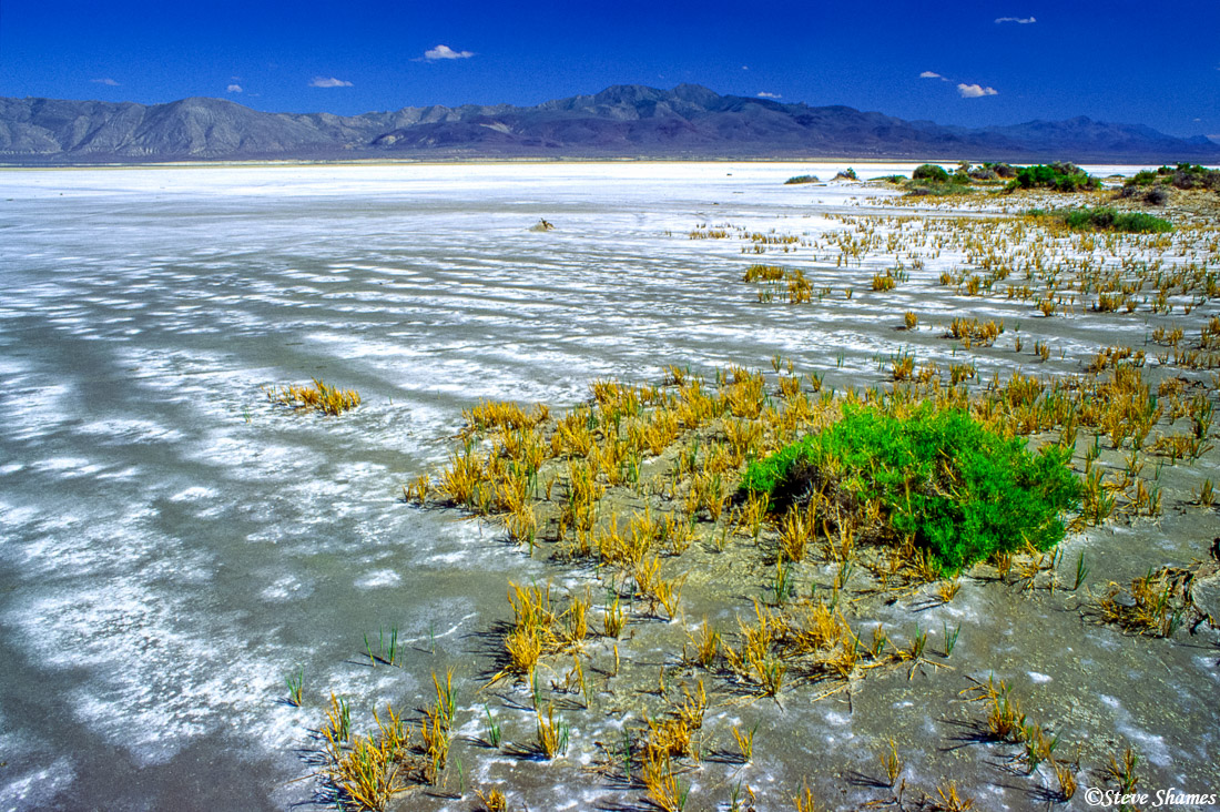 A sort of&nbsp;snowy look at the edge of the Black Rock Desert.
