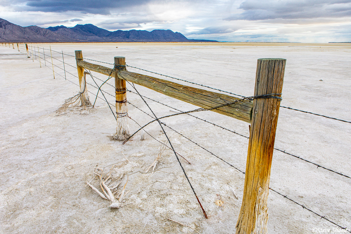 A fence running through the salty sandy Black Rock Desert.