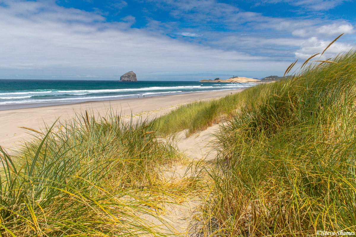 There are many many state parks along the Oregon Coast. This one is Bob Straub State Park.