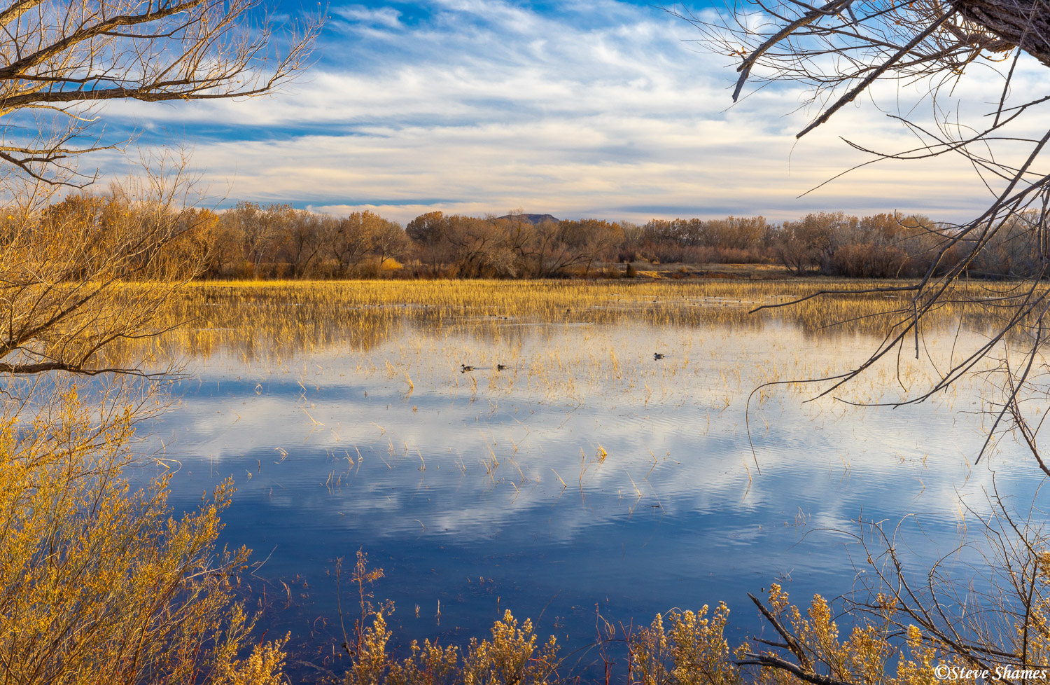 At the Bosque Del Apache wetlands, south of Albuquerque. This was one of the more scenic spots of New Mexico.