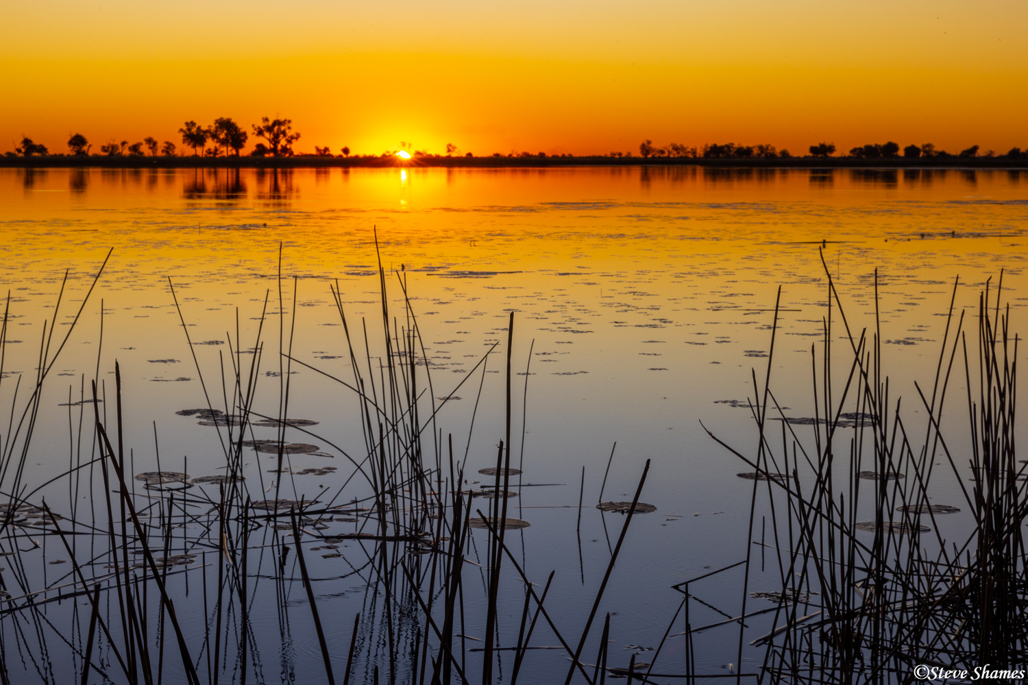 A great sunset in the Okavango Delta in Botswana.